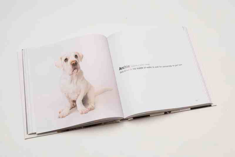 An open spread of the photography book shows an all white dog sitting on a plain white background. His paws are splayed out to the side. The text on the right says his name is Archie and is captioned: Sits down in the middle of walks to wait for passerby to pet him. 