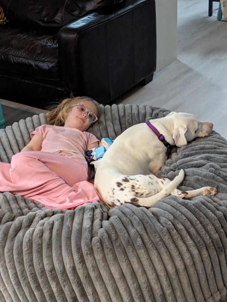 Atop a large gray poof chair, a little girl in a pink t-shirt and wrapped in a pink glasses and wearing pink and blue glasses cuddles up next to a white dog with brown spots on her hind end. The dog is wearing a pink and purple collar. The little girl has the flu and her eyes are red-rimmed and her hair is messy. The dog is pushed up against her legs to comfort her. 