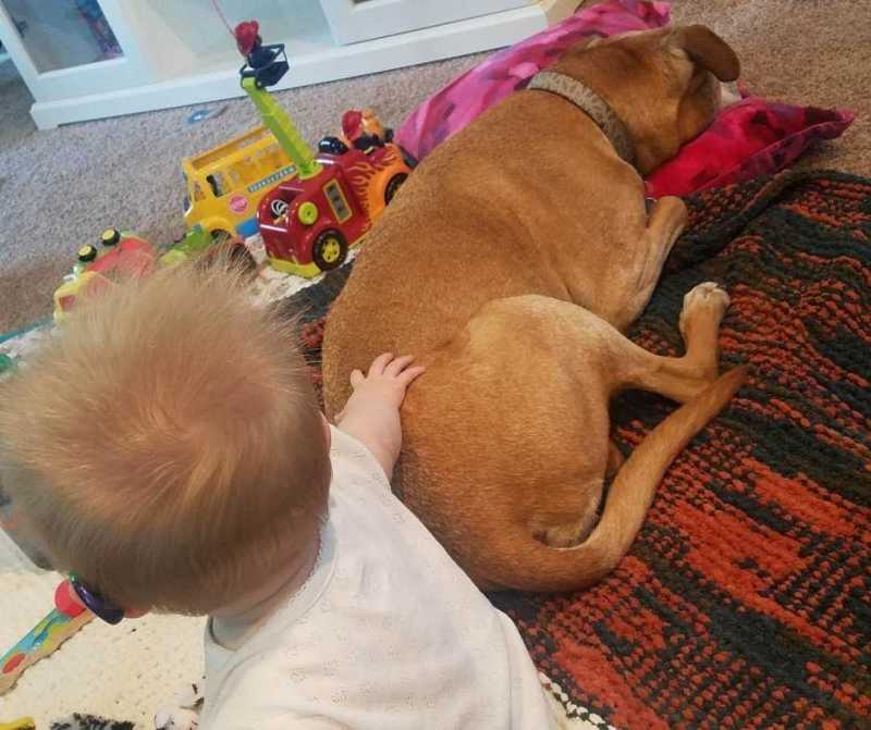 An eight-month-old baby girl with hearing aids pats her 10-year-old dog. 