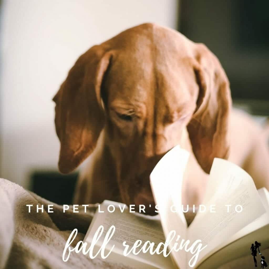 2020 Fall Finding out Data for Pet Lovers