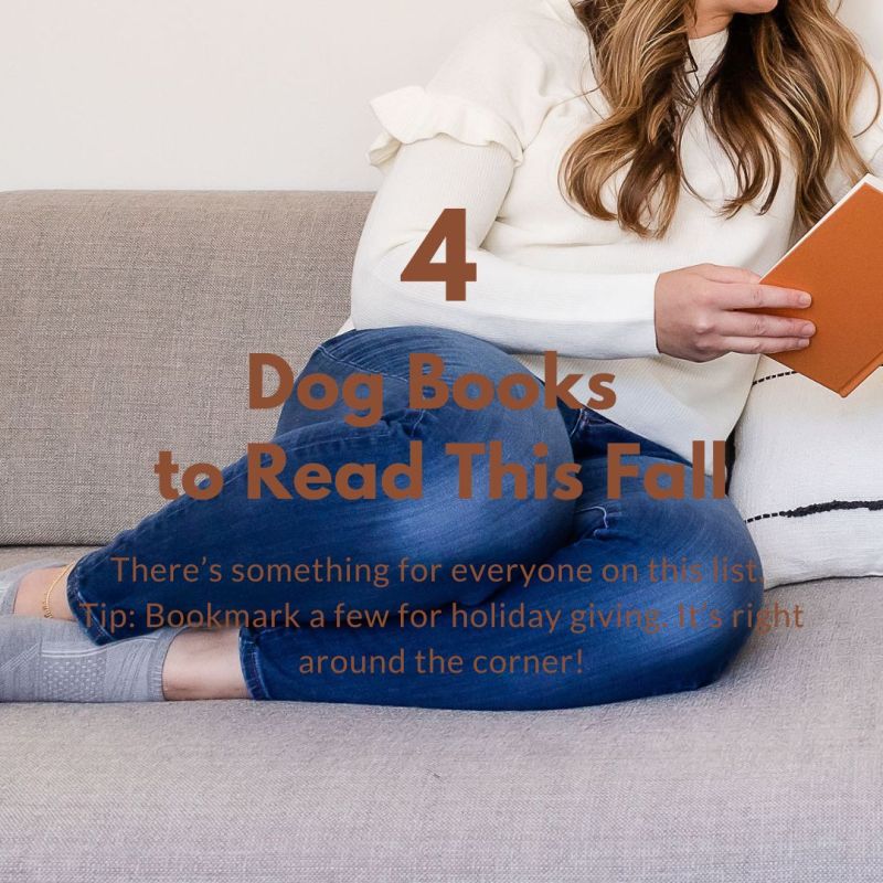 A white woman with long, wavy brown hair is lounging on a tan-colored couch reading a book with an orange hardcover. The text overlay reads: 4 dog books to read this fall. There's something for everyone on this list. Tip: Bookmark a few for holiday giving. It's right around the corner!