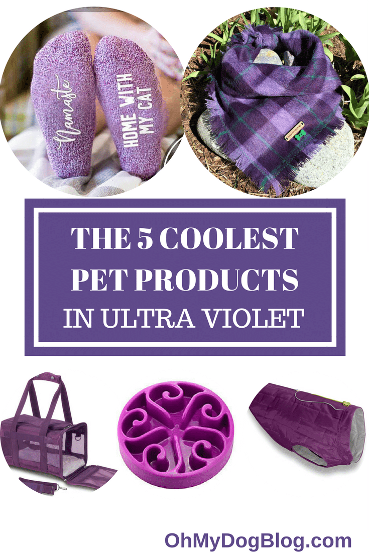 The 5 coolest pet products in ultra violet