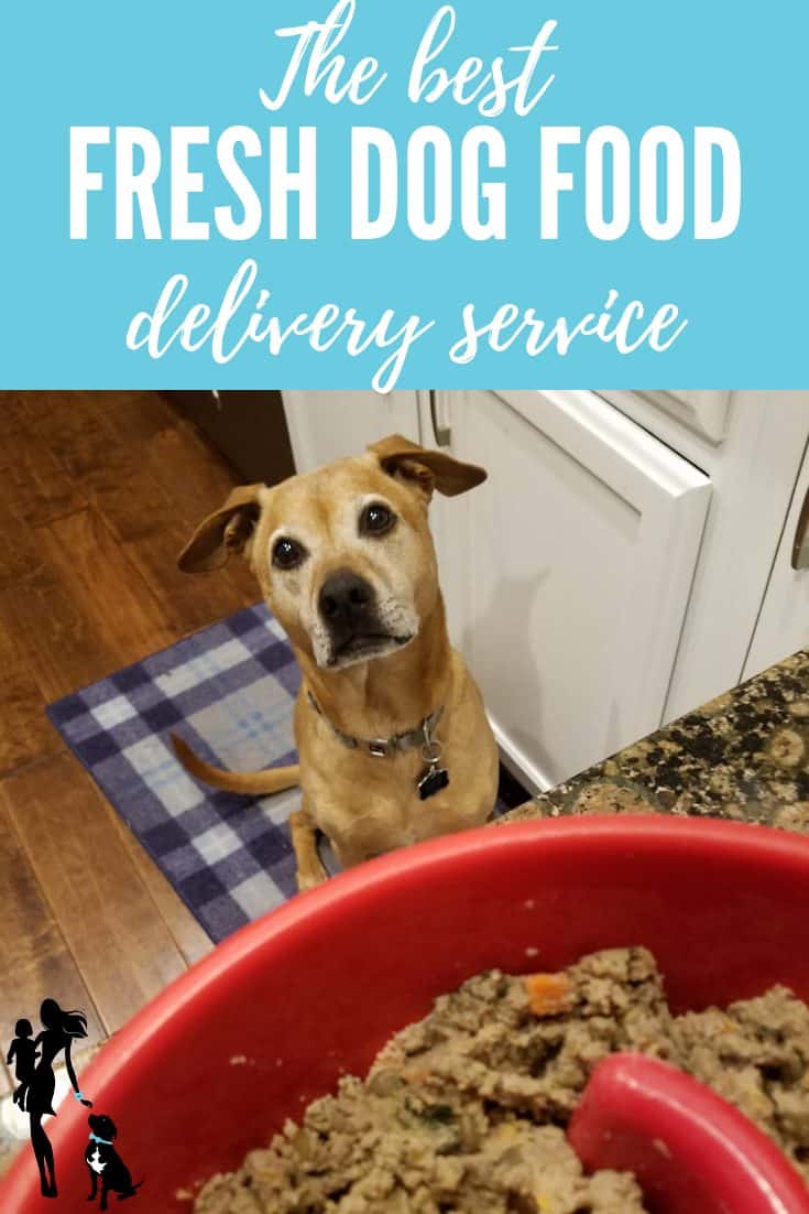 The Best Fresh Dog Food Delivery_ Health and convenience from The Farmer's Dog