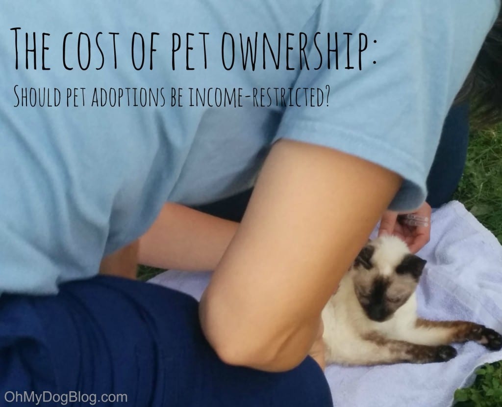 The worth of pet possession: Should animal adoption be restricted by earnings?